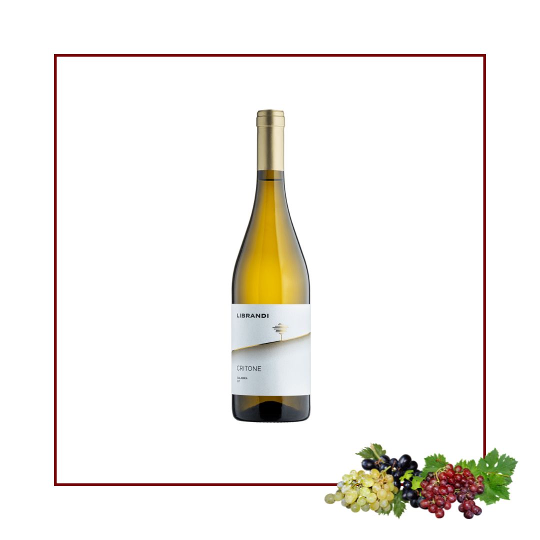 Critone vino bianco Librandi