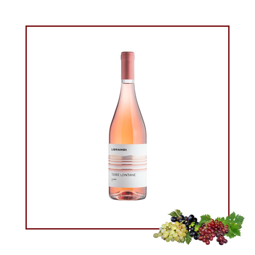 terre lontane vino rosato Librandi