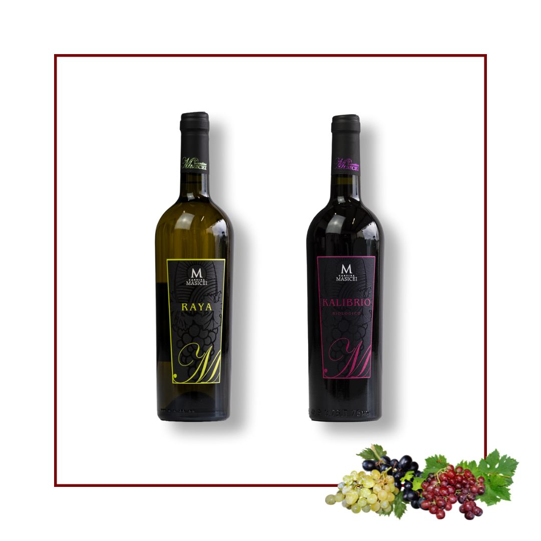 vino bianco raya e vino rosso kalibrio cantina Masicei