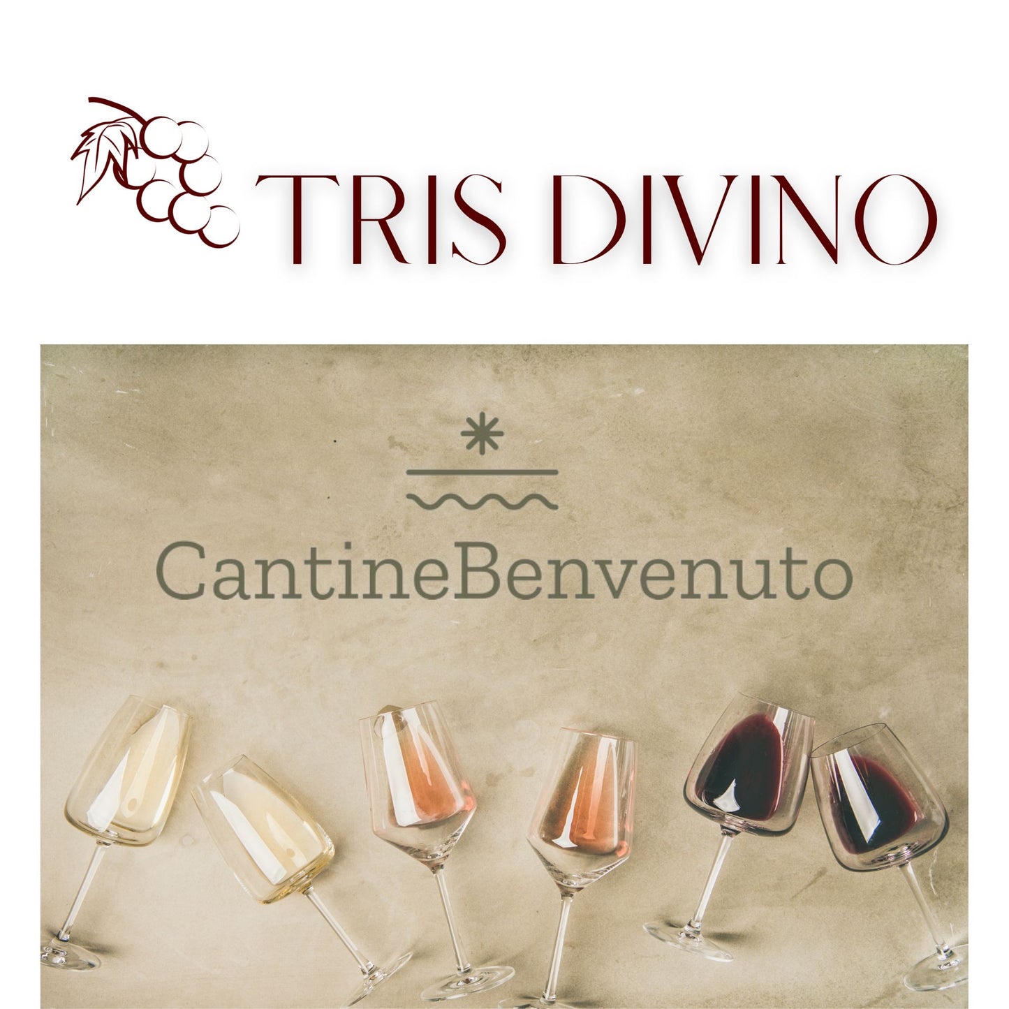 vini cantine benvenuto 