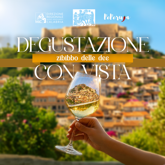 zibibbo degustazione con vista castello di Vibo
